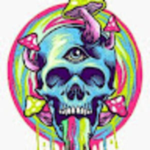 Meet your Posher, Isabella